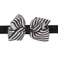 Cloth Fashion Bows Hair accessories  red  Fashion Jewelry NHWO1079redpicture16