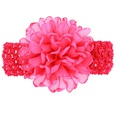 Cloth Fashion Flowers Hair accessories  red  Fashion Jewelry NHWO1098redpicture40