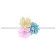 Cloth Fashion Flowers Hair accessories  1  Fashion Jewelry NHWO11251picture12