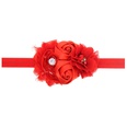 Cloth Fashion Flowers Hair accessories  red  Fashion Jewelry NHWO1130redpicture27