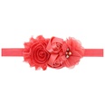 Cloth Fashion Flowers Hair accessories  red  Fashion Jewelry NHWO1130redpicture37