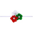 Cloth Fashion Flowers Hair accessories  SD0331  Fashion Jewelry NHWO1131SD0331picture7