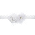 Cloth Fashion Flowers Hair accessories  white  Fashion Jewelry NHWO1149whitepicture9
