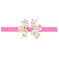Alloy Fashion Bows Hair accessories  number 1  Fashion Jewelry NHWO1151number1picture53