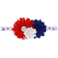 Cloth Fashion Flowers Hair accessories  H1421  Fashion Jewelry NHWO1154H1421picture18