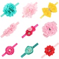 Cloth Fashion Flowers Hair accessories  Set of 9 colors  Fashion Jewelry NHWO1170Setof9colorspicture3