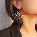 Alloy Fashion Geometric earring  One alloy 1300  Fashion Jewelry NHXR2737Onealloy1300picture10