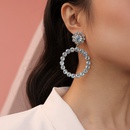 Alloy Fashion Geometric earring  One alloy 1300  Fashion Jewelry NHXR2737Onealloy1300picture6