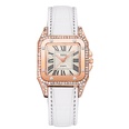 Alloy Fashion  Ladies watch  white  Fashion Watches NHSY1886whitepicture11