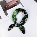 Cloth Korea  scarf  1 leopard chain white  Scarves NHMN03501leopardchainwhitepicture4