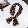 Cloth Korea  Hair accessories  1 leopard yellow  Fashion Jewelry NHMN03481leopardyellowpicture45