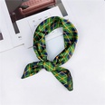 New Spring and Autumn Summer Small Silk Scarf Small Square Towel Womens Korean Professional Variety Decorative Printed Scarf Scarf Wholesalepicture94