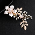 Alloy Fashion Flowers Hair accessories  Alloy  Fashion Jewelry NHHS0649Alloypicture3