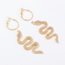 New fashion snakeshaped diamond earrings NHNZ157521picture2
