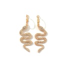 New fashion snakeshaped diamond earrings NHNZ157521picture5
