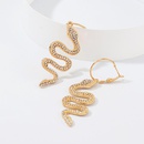 New fashion snakeshaped diamond earrings NHNZ157521picture4