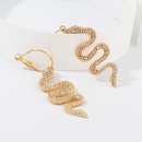 New fashion snakeshaped diamond earrings NHNZ157521picture6