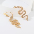 New fashion snakeshaped diamond earrings NHNZ157521picture9