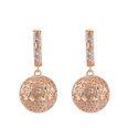European and American classical diamond rose gold earrings NHAS155987picture7