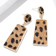 New fashion creative suede leopard geometric long earrings simple earringspicture14