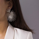 Simple fanshaped exaggerated tassel geometric earrings NHXR156826picture3