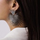 Simple fanshaped exaggerated tassel geometric earrings NHXR156826picture2