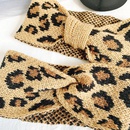 Koreas new retro knitted wool woven leopard cross hair band winter widebrimmed elastic headband headbandpicture6