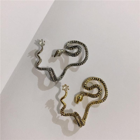 Ear pierced earrings earrings snake body earring copper earrings's discount tags