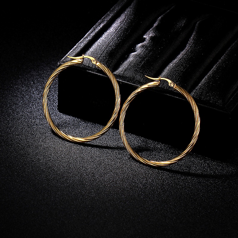 TitaniumStainless Steel Fashion Geometric earring  Alloy 45cm  Fine Jewelry NHIM1611Alloy45cm