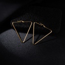 TitaniumStainless Steel Fashion Geometric earring  Alloy 55cm  Fine Jewelry NHIM1598Alloy55cmpicture7