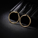 TitaniumStainless Steel Fashion Geometric earring  Alloy 4cm  Fine Jewelry NHIM1610Alloy4cmpicture8