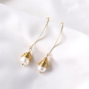 Beads Vintage Geometric earring  Alloy  Fashion Jewelry NHIM1613Alloypicture9