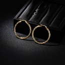 TitaniumStainless Steel Fashion Geometric earring  Alloy 35cm  Fine Jewelry NHIM1674Alloy35cmpicture8