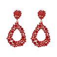 Alloy Fashion Geometric earring  red  Fashion Jewelry NHJJ5579redpicture7