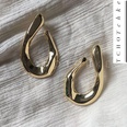Alloy Fashion Geometric earring  Alloy  Fashion Jewelry NHYQ0177Alloypicture5