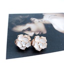 Alloy Fashion Flowers earring  Photo Color  Fashion Jewelry NHOM1591PhotoColorpicture1