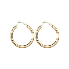 Alloy Fashion Geometric earring  (Alloy)  Fashion Jewelry NHBQ1945-Alloy