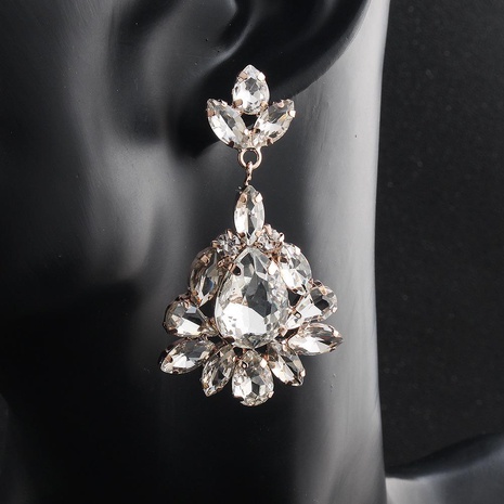 Womens Floral Rhinestone Alloy Mi Anino Earrings HS190423118906's discount tags