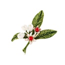 Womens Floral Plating Fashion creative flower  Alloy Brooches DR190429119780picture1