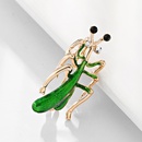 Womens Animal Plating Fashion creative insect  Alloy Brooches DR190505120129picture4
