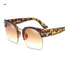 Summer new fashion big box sunglasses NHFY127583picture24