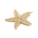 Womens Star  Moon Plating Alloy Hair Accessories NHXR127897picture32