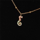 Seahorse cute marine element microset rhinestone necklace NHPY127937picture11