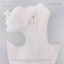 Womens teardrop plating alloy Earrings NHQS128215picture13