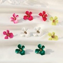 Creative simple candy color flower fashion earrings NHPJ128325picture2