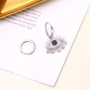 Fashion microinlaid zircon lucky eyerings NHDO128962picture22