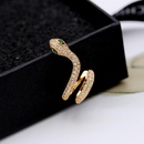 Fashion snakeshaped alloyen snake microset zircon earrings NHDO129062picture1