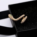 Fashion snakeshaped alloyen snake microset zircon earrings NHDO129062picture6
