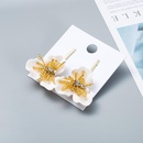 Fashion petal spray imitated crystal 925 alloy needle alloy earrings NHWF129093picture11