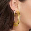 Creative Acrylic Geometric Plate Transparent Stroke Open Earrings NHLL129204picture2